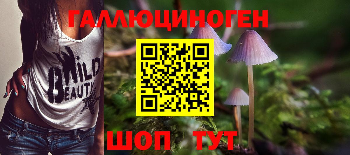 ГАШ Тосно